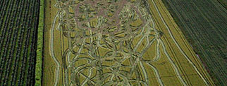 Crop Circle Chase Scene