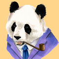 Fancy Panda