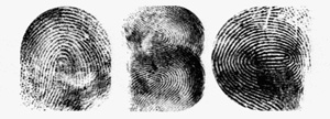 Fingertips