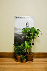 Jack Johnson House Plants