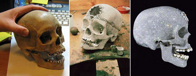 Hirst Skull