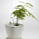 Planter