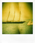 Polanoid