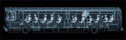 X-Ray Art