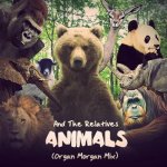 Animals Organ Morgan Remix Cover