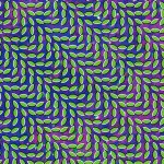 Merriweather Post Pavilion Cover