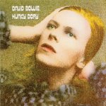 Hunky Dory Cover
