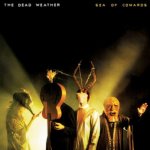 Sea of Cowards Cover