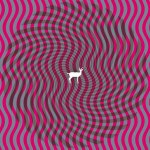 Cryptograms Cover