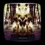 Feersum Ennjin Cover