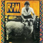RAM Cover