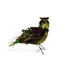 The Ostrich or The Lark Cover