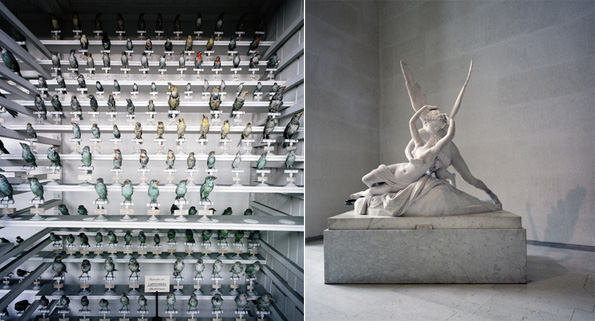 Richard Ross - Museology