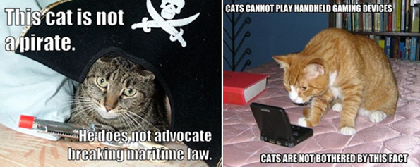 Average Cats