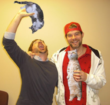 Booze Cats