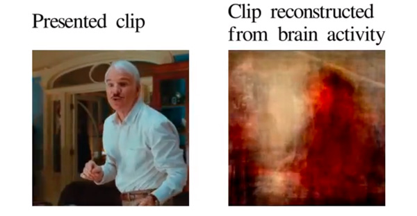 Reconstruction From Brain Activity