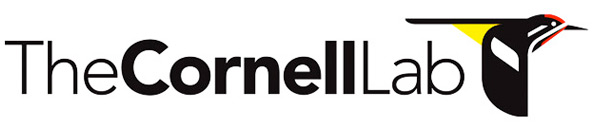 Cornell Lab