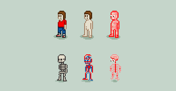 Anatomia from  Diego B