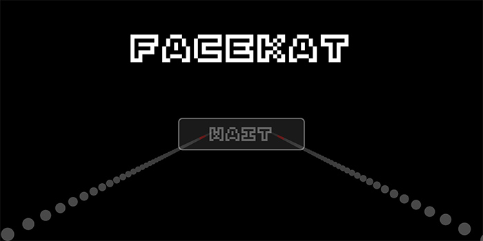 FaceKat