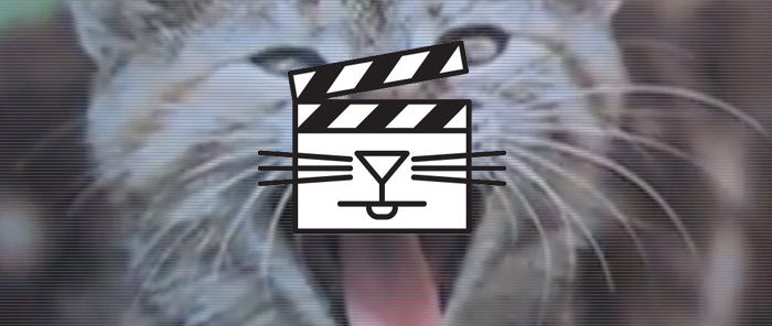 Internet Cat Festival