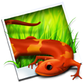 Image to Icon
