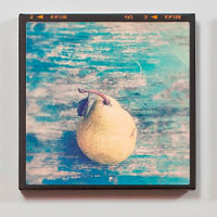 Canvas Pop
