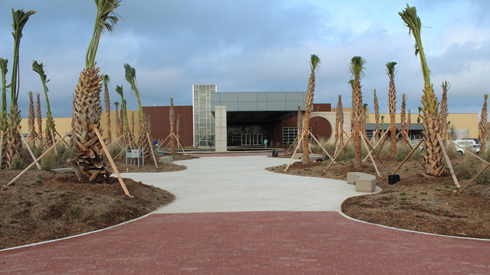 McAllen Library