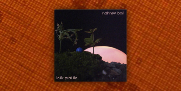 Nahnee Bori
