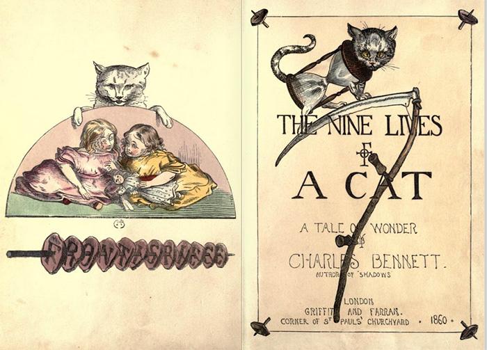 Cat Lives