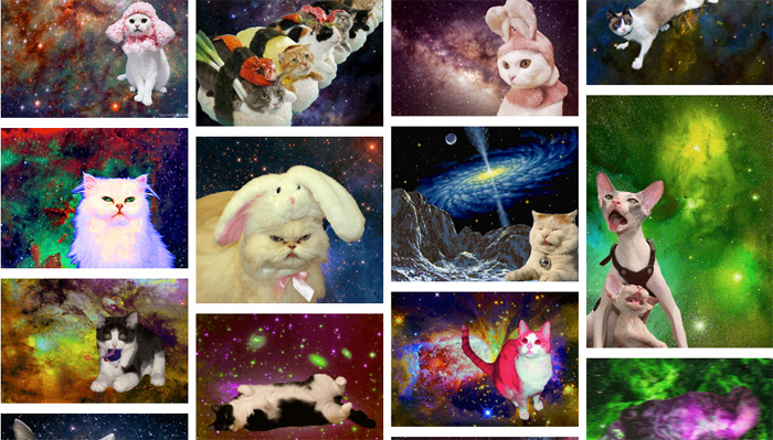 OMG Cats in Space