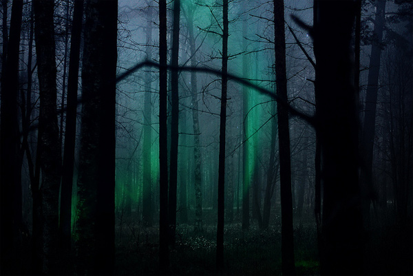 Untitled from Sasha Faq