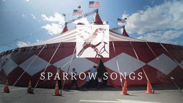 Sparrow Songs