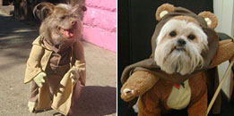 Star Wars Dog Costumes