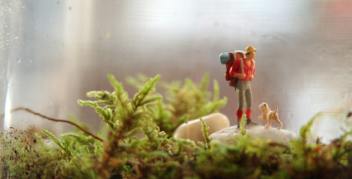 Twig Terrariums