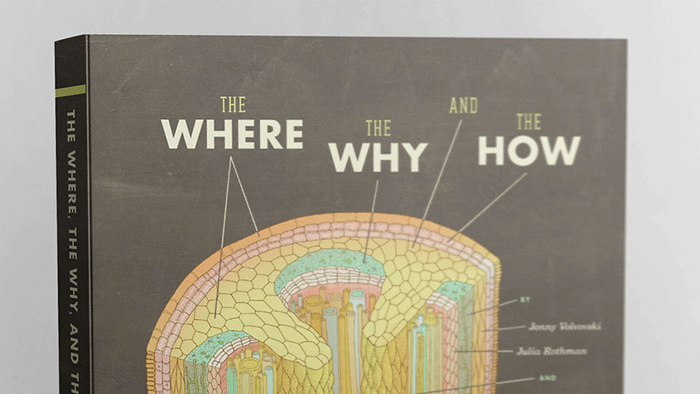 The Where, The Why and The How