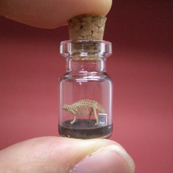 Tiny Dino Skeletons