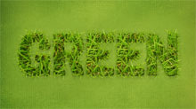 Typography Friday